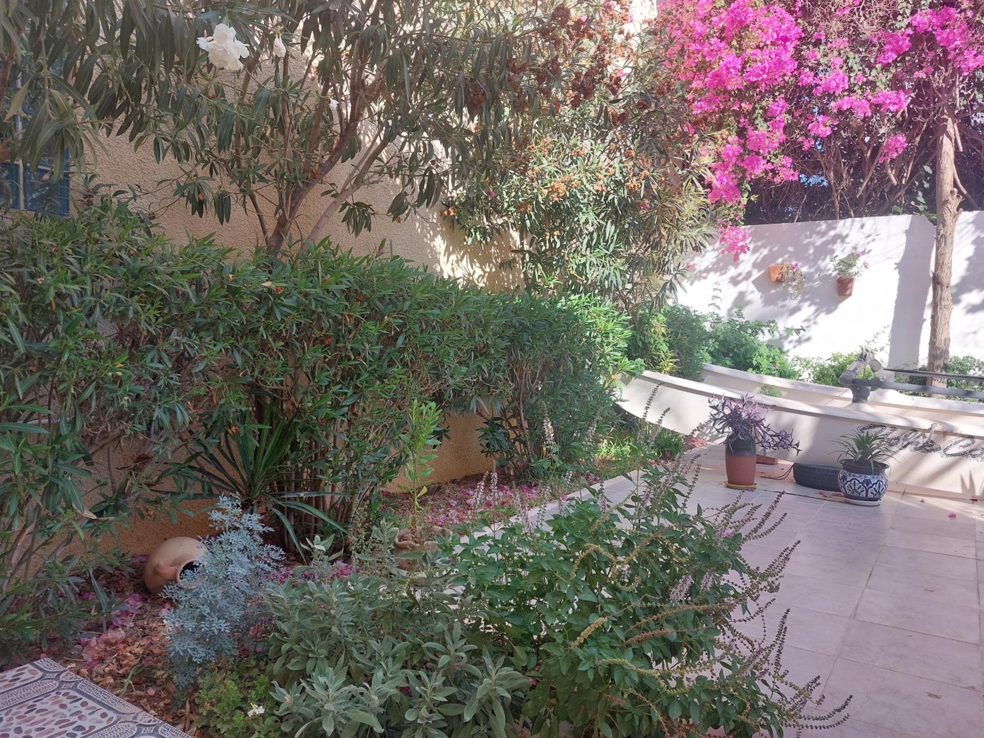 Villa Azaiiza Susa Esterno foto
