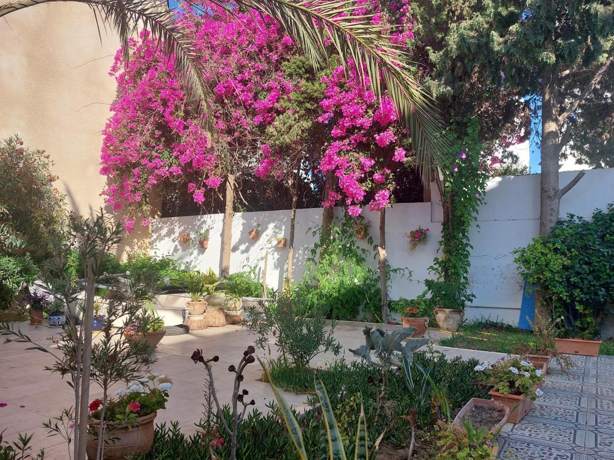 Villa Azaiiza Susa Esterno foto