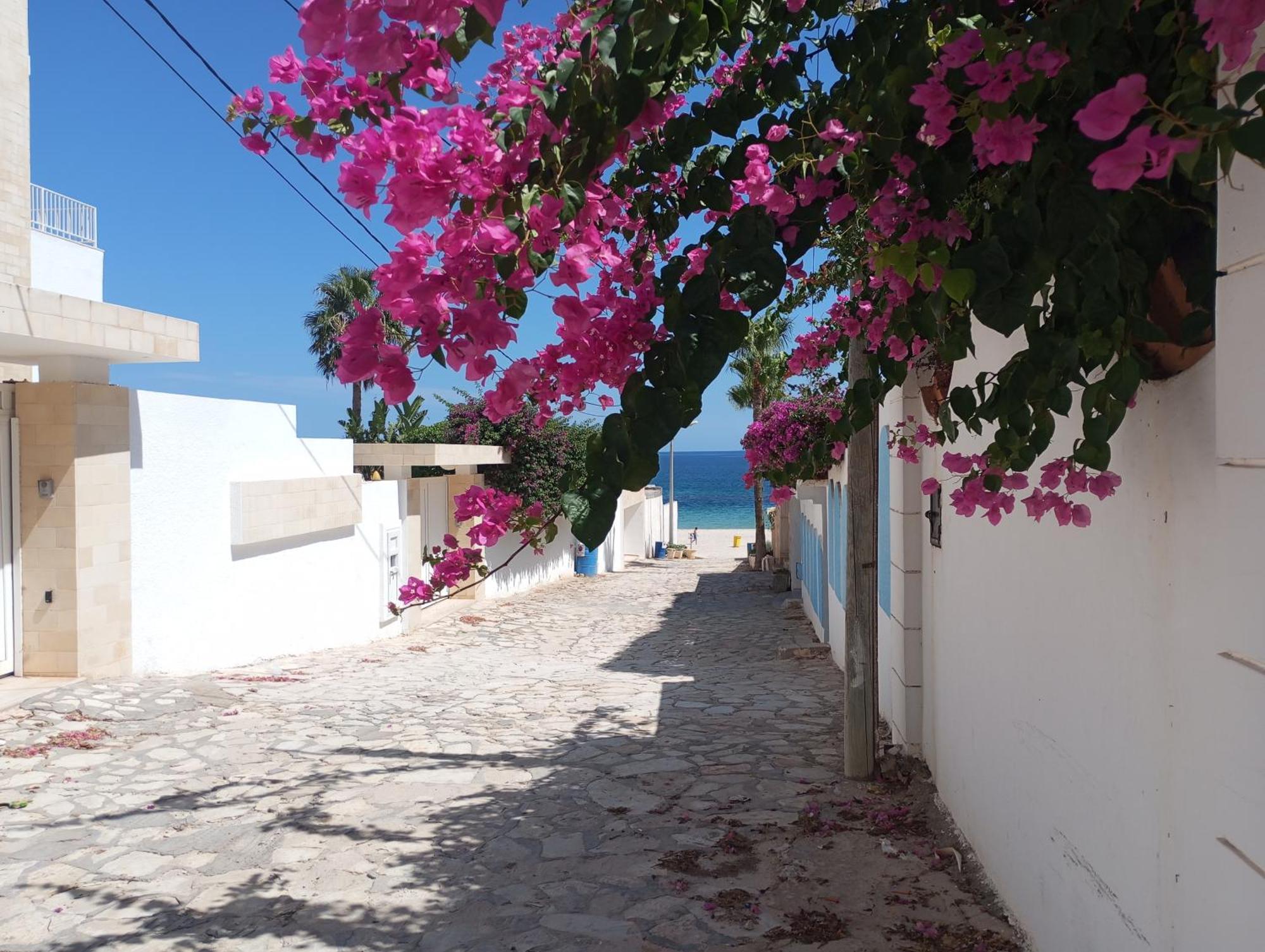 Villa Azaiiza Susa Esterno foto
